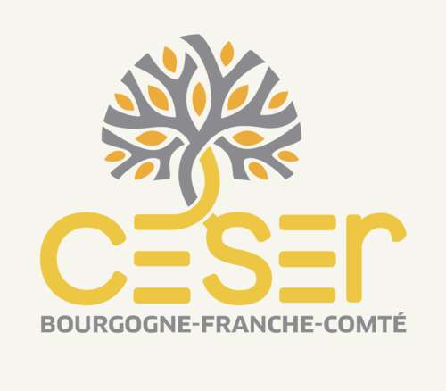 Photo de l'article : 16 décembre - Audition par le CESER BFC sur l'éthique de l'IA, les droits et les risques d'exclusion (Dijon)