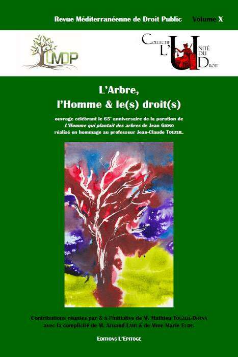 Photo de l'article : L’eau et la forêt : pistes pour une interaction en droit international