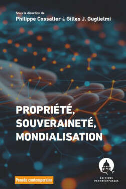 Photo de l'article : Le contrôle des investissements stratégiques opérés par les fonds souverains